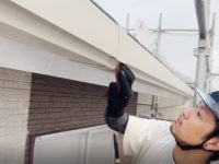 2025y11m24d_000118096