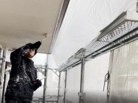 2025y11m24d_000338296