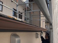 2025y12m08d_005537454