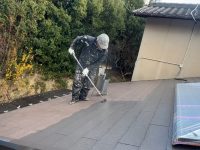 2025y12m08d_005747446