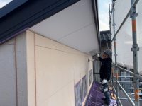 2025y12m08d_005946285