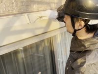 2025y12m20d_000209597