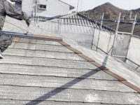 2025y12m20d_001302368