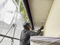 2025y12m20d_002250342