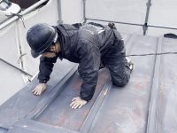 2026y01m06d_155009538