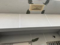 写真 2026-02-04 9 39 51 (1)