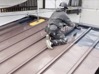 2026y01m28d_010031589