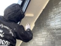 2026y02m03d_142558880