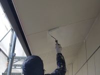 2026y02m03d_155126887