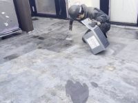 2026y03m02d_020227528